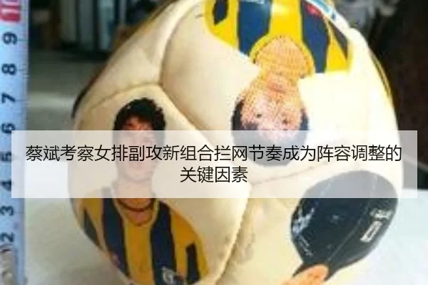 蔡斌考察女排副攻新组合拦网节奏成为阵容调整的关键因素